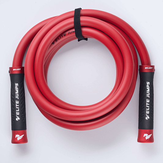 The Beast - 3lb Weighted Jump Rope
